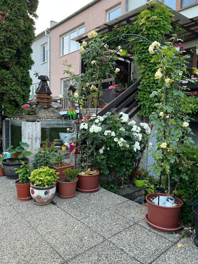 Ubytovani Na Hrazi 91 Znojmo Exterior foto