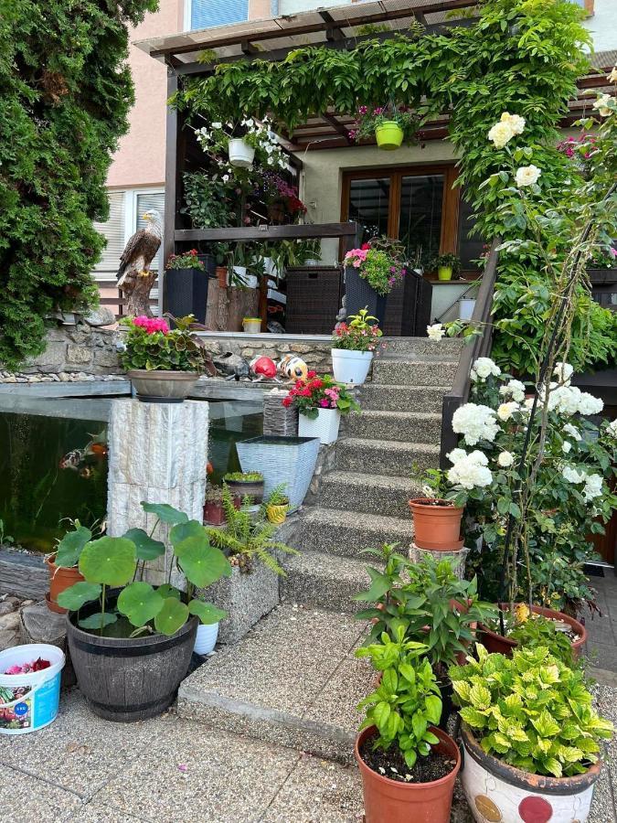 Ubytovani Na Hrazi 91 Znojmo Exterior foto